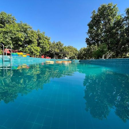 Amraness Luxury Resort Sasan Gir Eksteriør bilde